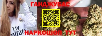 не бодяженный Гай