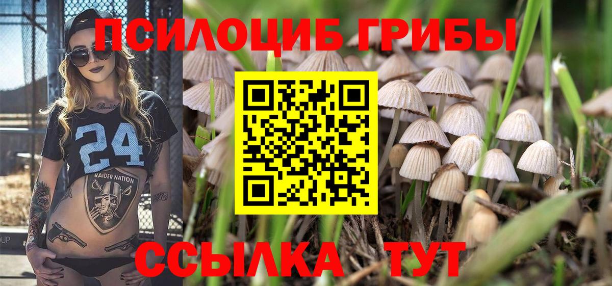 Дальнереченск  Галлюциногенные грибы ЛСД  Вход с VPN 